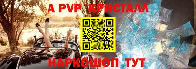винт Сланцы
